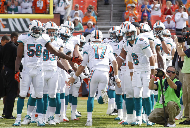 miami dolphins